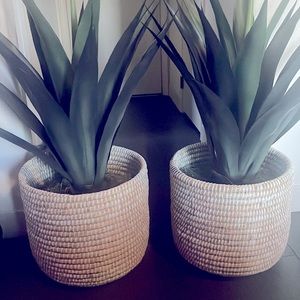 Adorable accent plant decor. Great for any space. White & tan woven baskets.